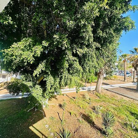 Apartamento Eureka Costa Del Silencio Buitenkant foto