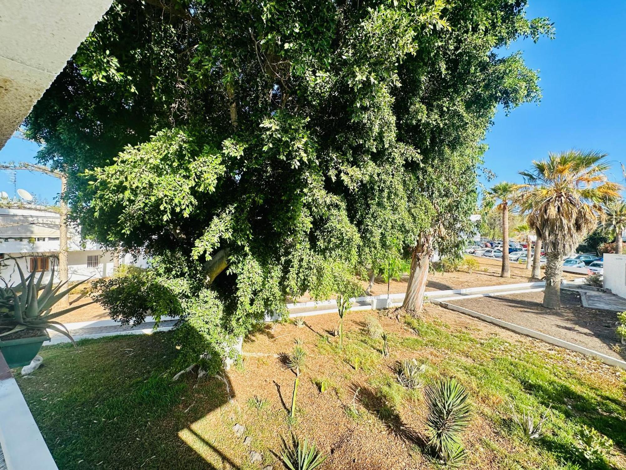 Apartamento Eureka Costa Del Silencio Buitenkant foto